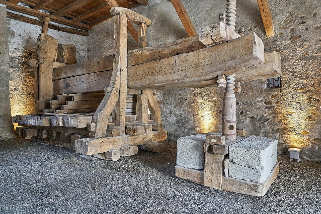 découvrez le tourisme viticole : explorez des vignobles pittoresques, dégustez des vins d'exception et vivez des expériences inoubliables au cœur des régions vinicoles.