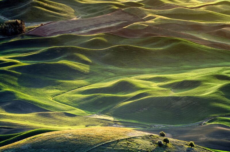 pacific voice est une plateforme dédiée à la promotion des voix authentiques et des récits inspirants de la région pacifique.