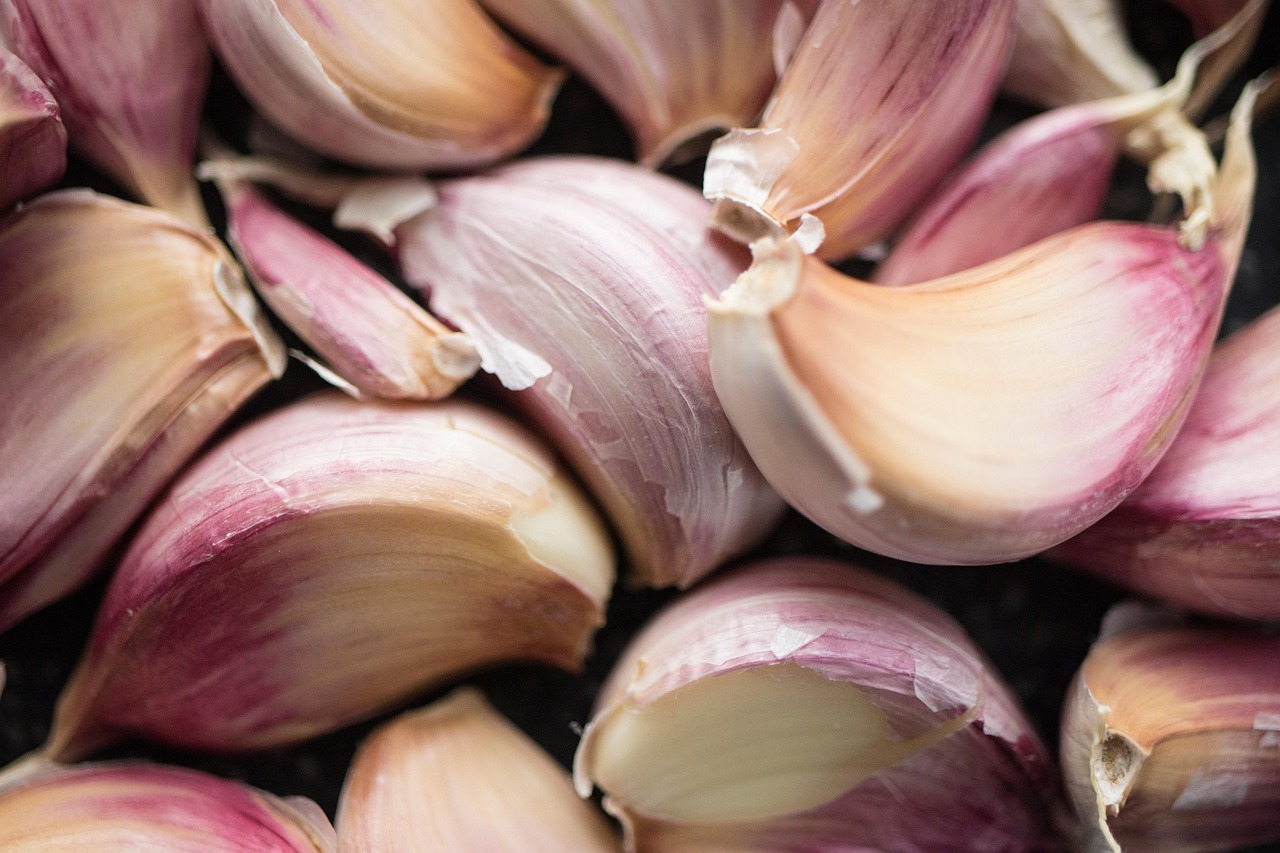 découvrez anjou flavors, votre destination pour savourer les délices authentiques de la région d'anjou. explorez nos recettes, produits locaux et saveurs traditionnelles.