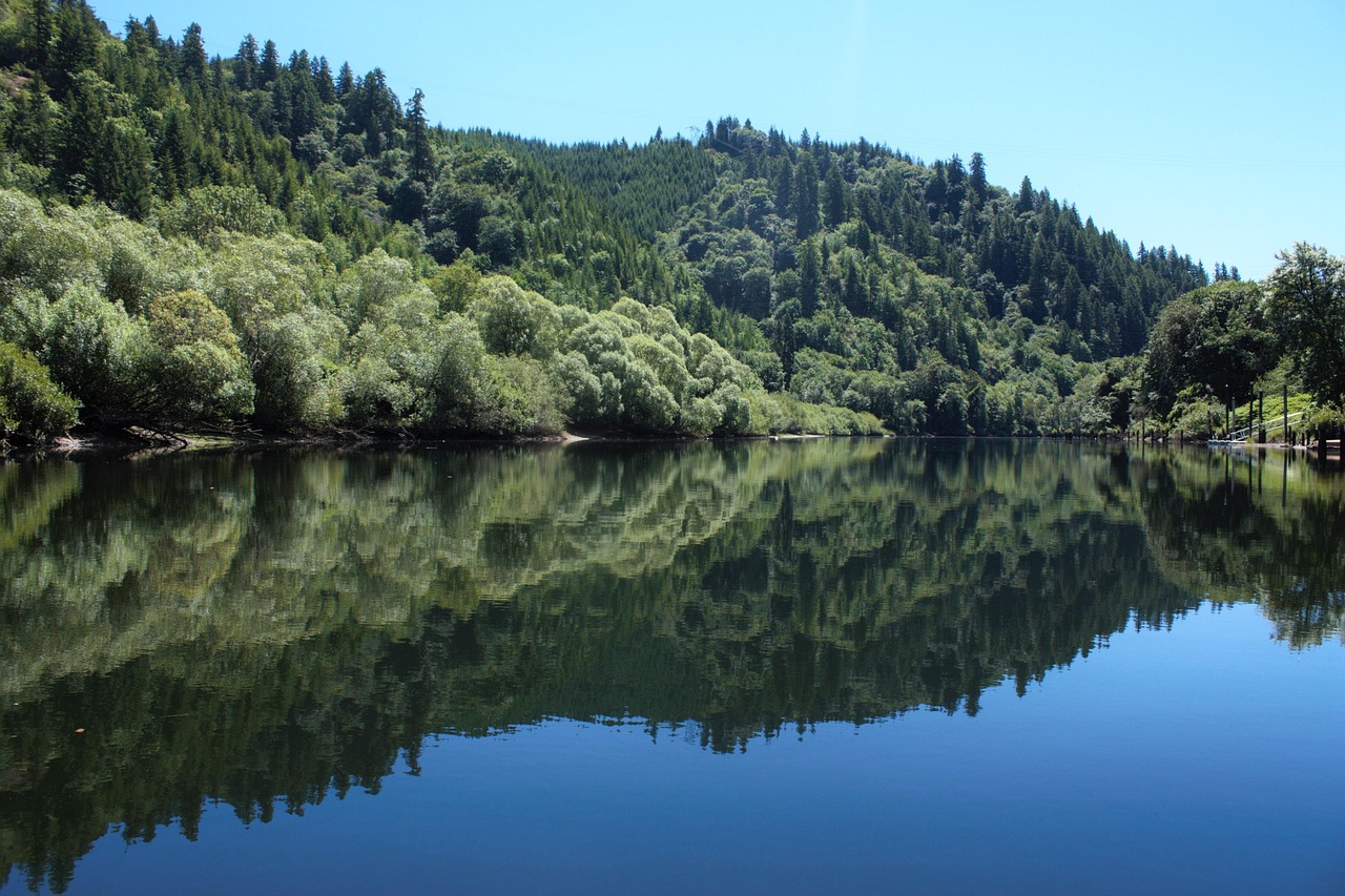 découvrez des escapades nature idéales pour vous ressourcer en pleine nature, loin du tumulte de la vie quotidienne.