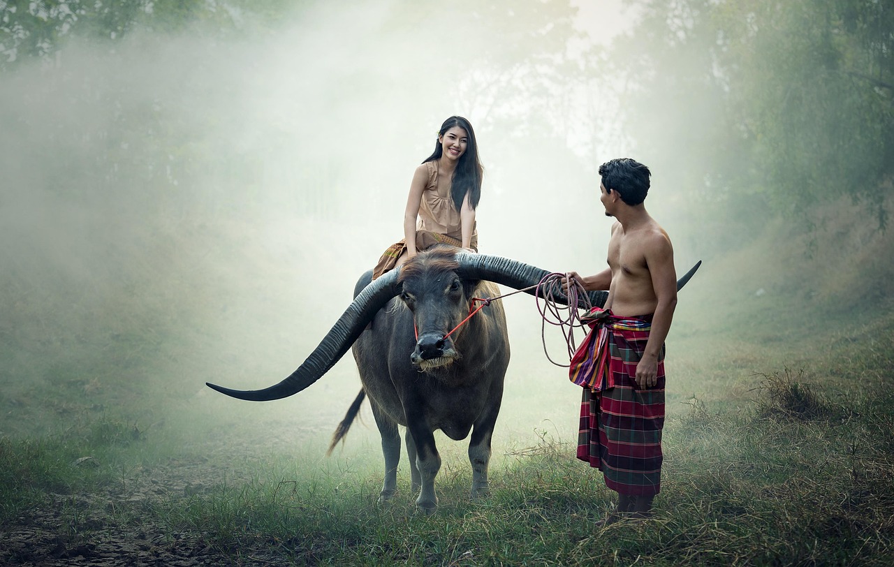 découvrez la thaïlande, un pays riche en culture, plages paradisiaques, temples magnifiques et une cuisine délicieuse. partez à l'aventure au cœur de l'asie du sud-est.