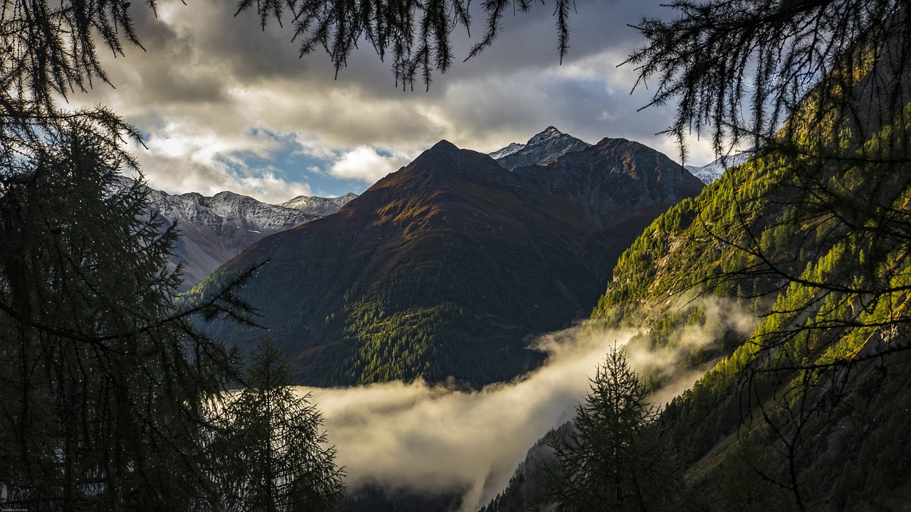 découvrez la gastronomie alpine : des saveurs authentiques alliant traditions montagnardes et produits locaux d'exception pour une expérience culinaire unique.