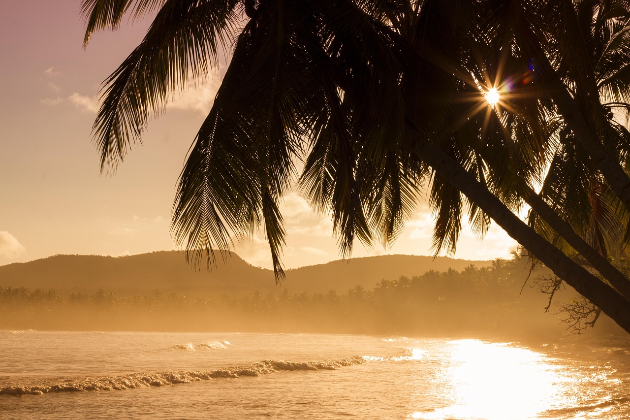 découvrez les merveilles des îles : plages paradisiaques, paysages exotiques et cultures uniques à travers le monde.