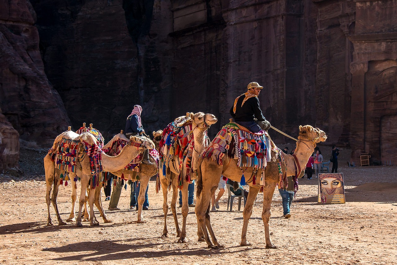 découvrez le monde du tourisme : des destinations incontournables, des conseils de voyage et des expériences uniques qui éveilleront votre esprit d'aventure.
