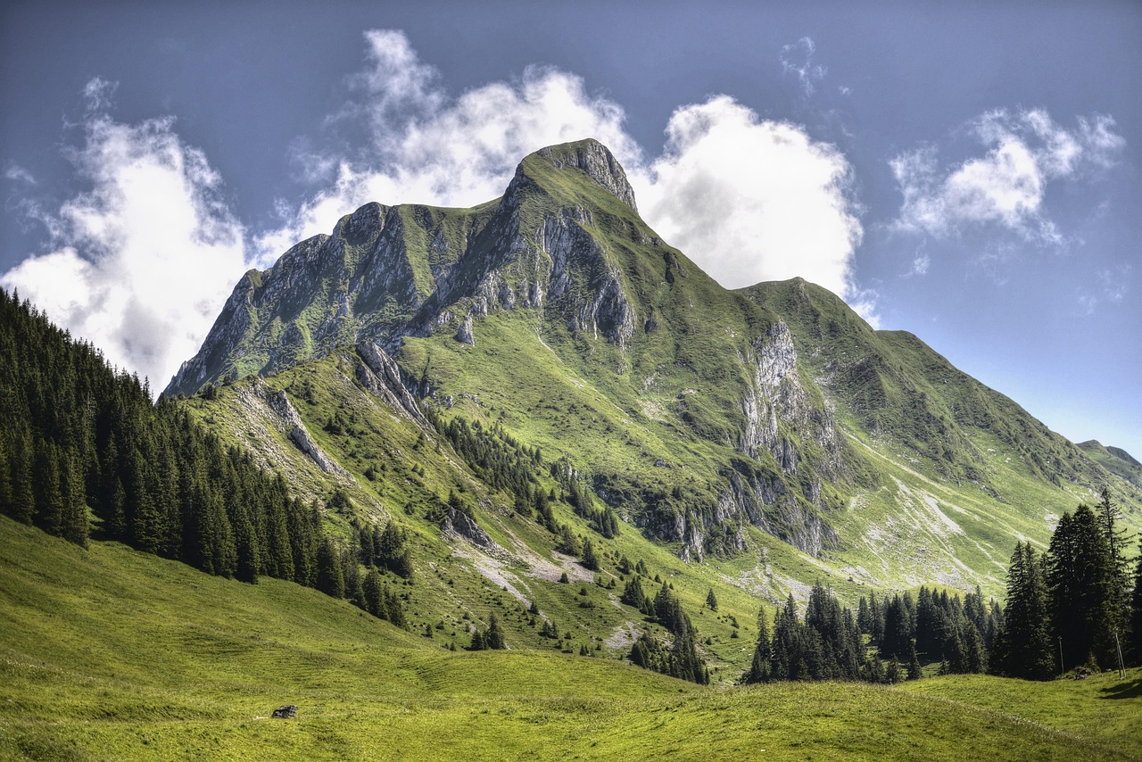 découvrez les meilleures destinations, conseils et activités pour un tourisme inoubliable. planifiez votre voyage avec nos guides complets et astuces pratiques.