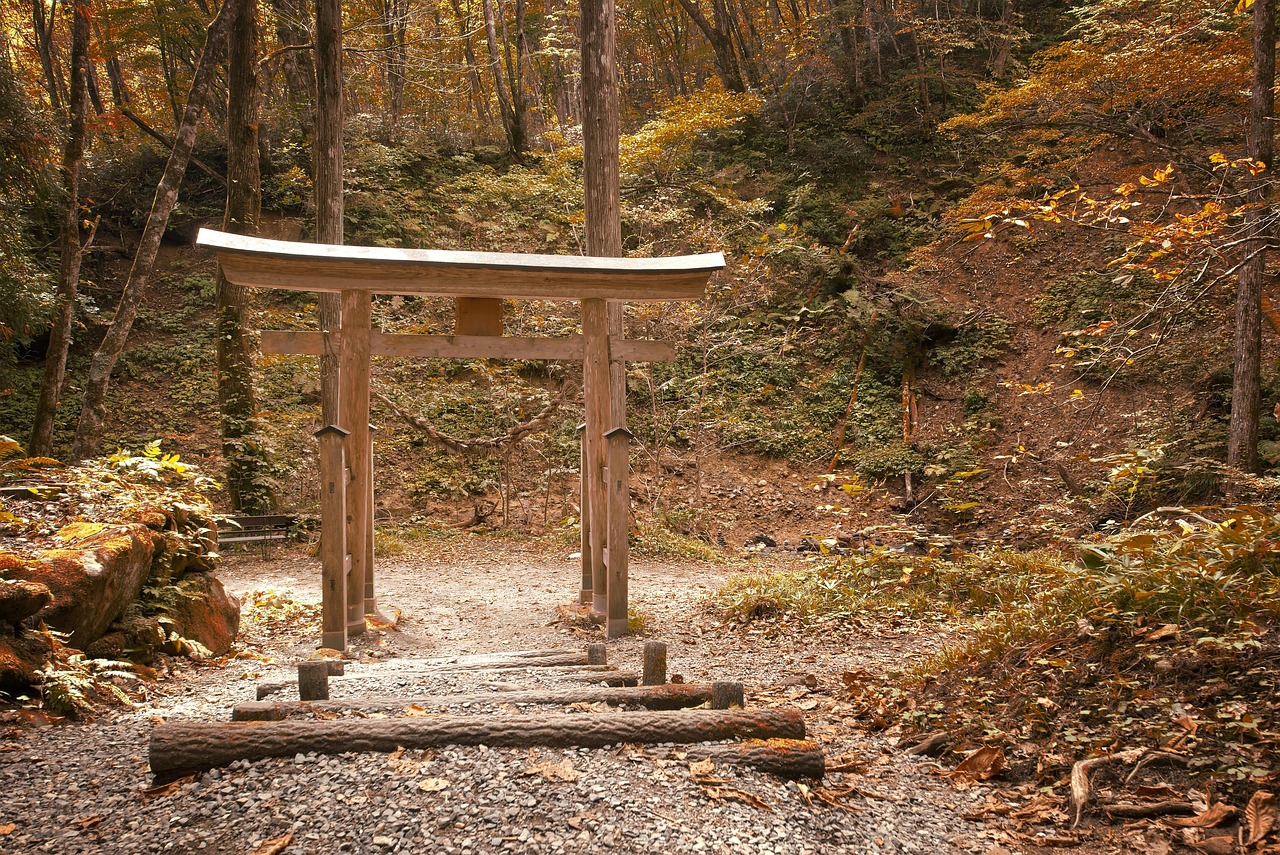 découvrez le japon : un pays fascinant mêlant traditions ancestrales et modernité, paysages magnifiques, cuisine raffinée et culture unique. partez à la découverte de tokyo, kyoto, du mont fuji et plongez dans l’univers nippon.