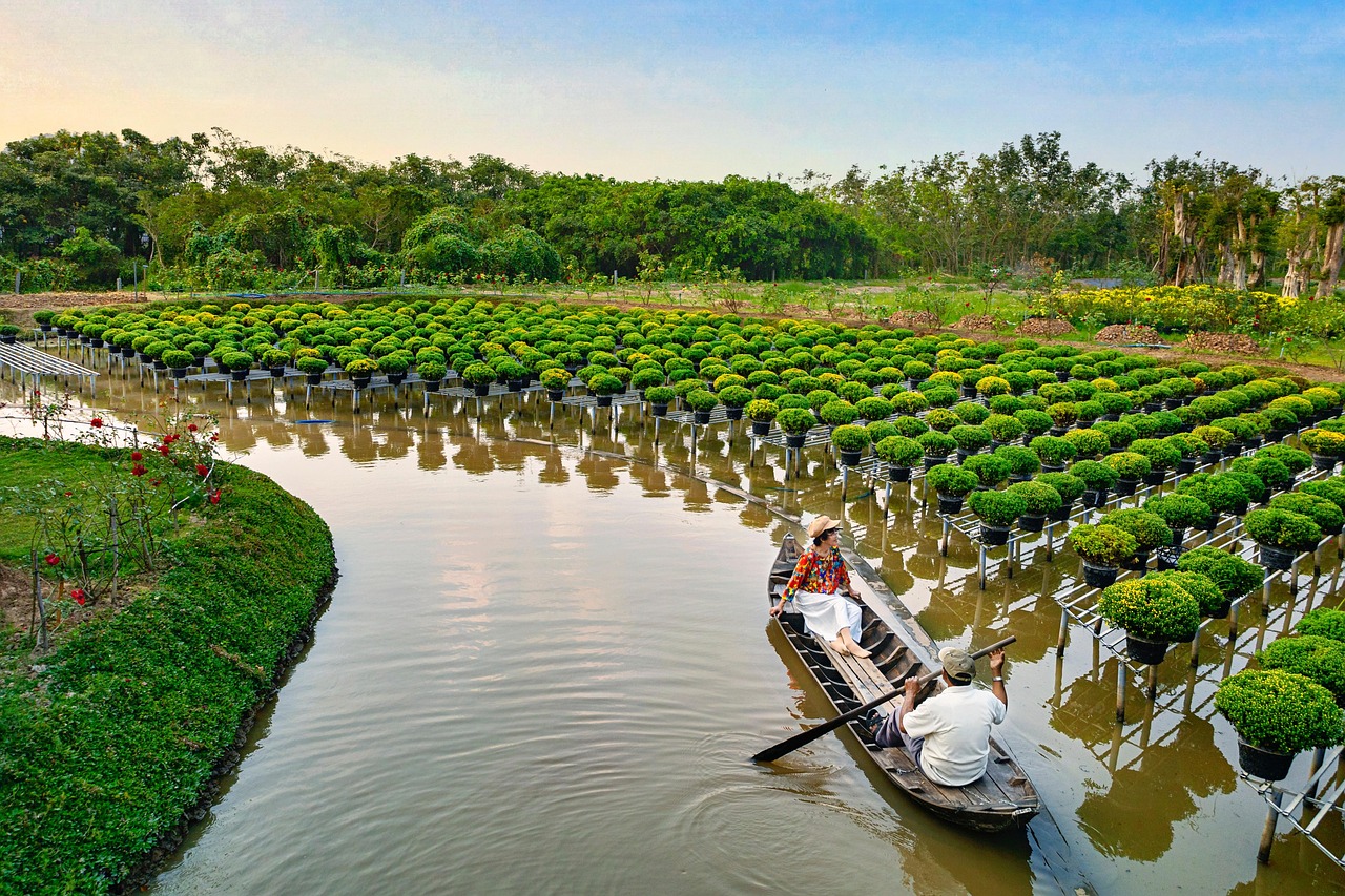 découvrez les merveilles du vietnam : paysages époustouflants, culture riche et gastronomie savoureuse pour un voyage inoubliable.