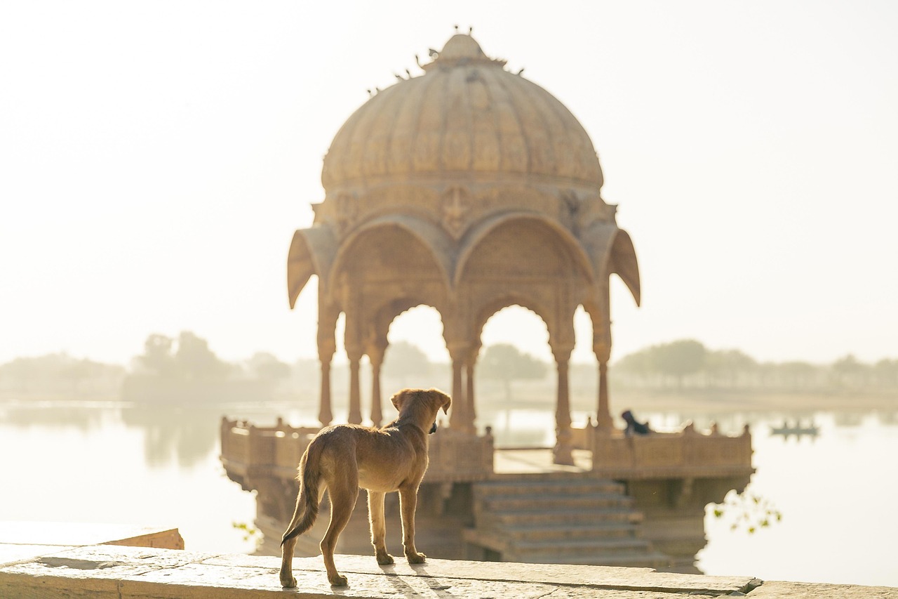 Explorer l’Inde malgré les tensions régionales : comment le tourisme se réinvente et s’adapte