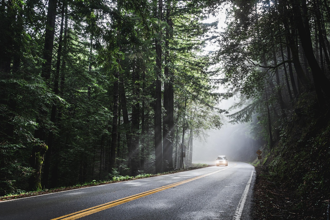 Road trip : conseils essentiels pour réussir votre aventure sur les routes françaises
