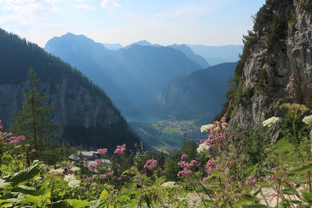 En France, la gastronomie alpine s’élève aux sommets du goût