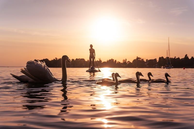 Lac de Constance en Allemagne : nos incontournables à découvrir en 2026