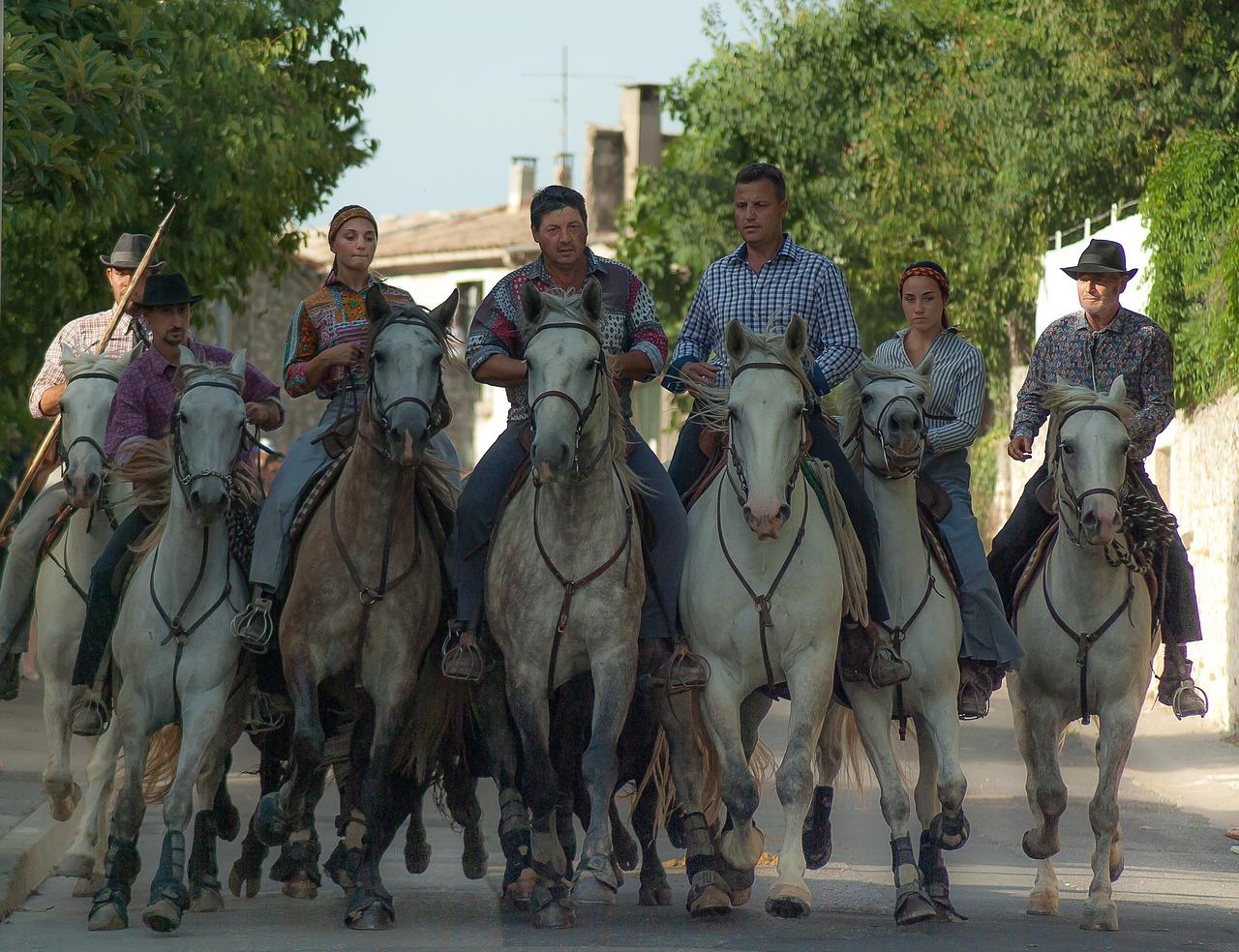 Explorez la Camargue : à pied, à cheval, à vélo ou même en bateau