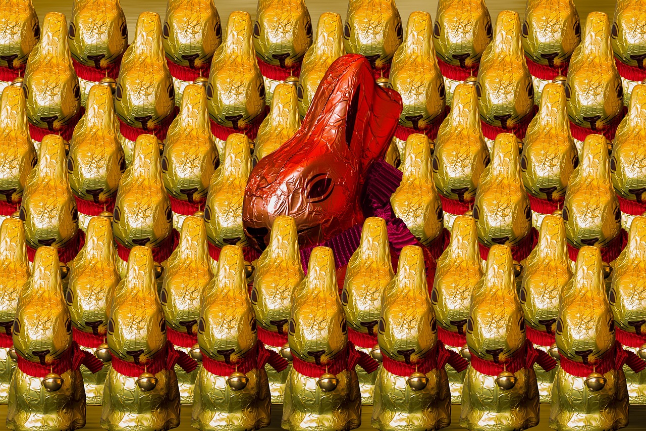Les 7 et 8 mars 2026 : Découvrez la magie de Sarlat entre bandas, délices culinaires et animations festives avec Fest’Oie