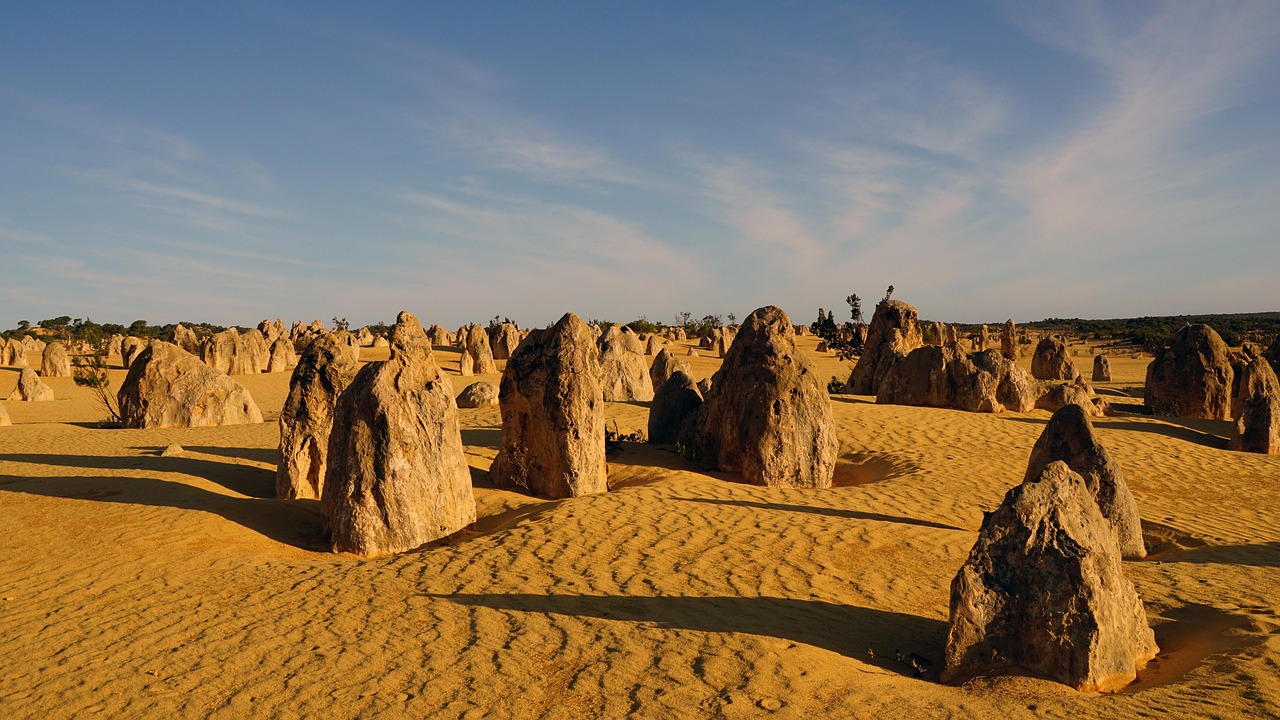 Guide pratique et précautions essentielles pour réussir votre aventure en Australie