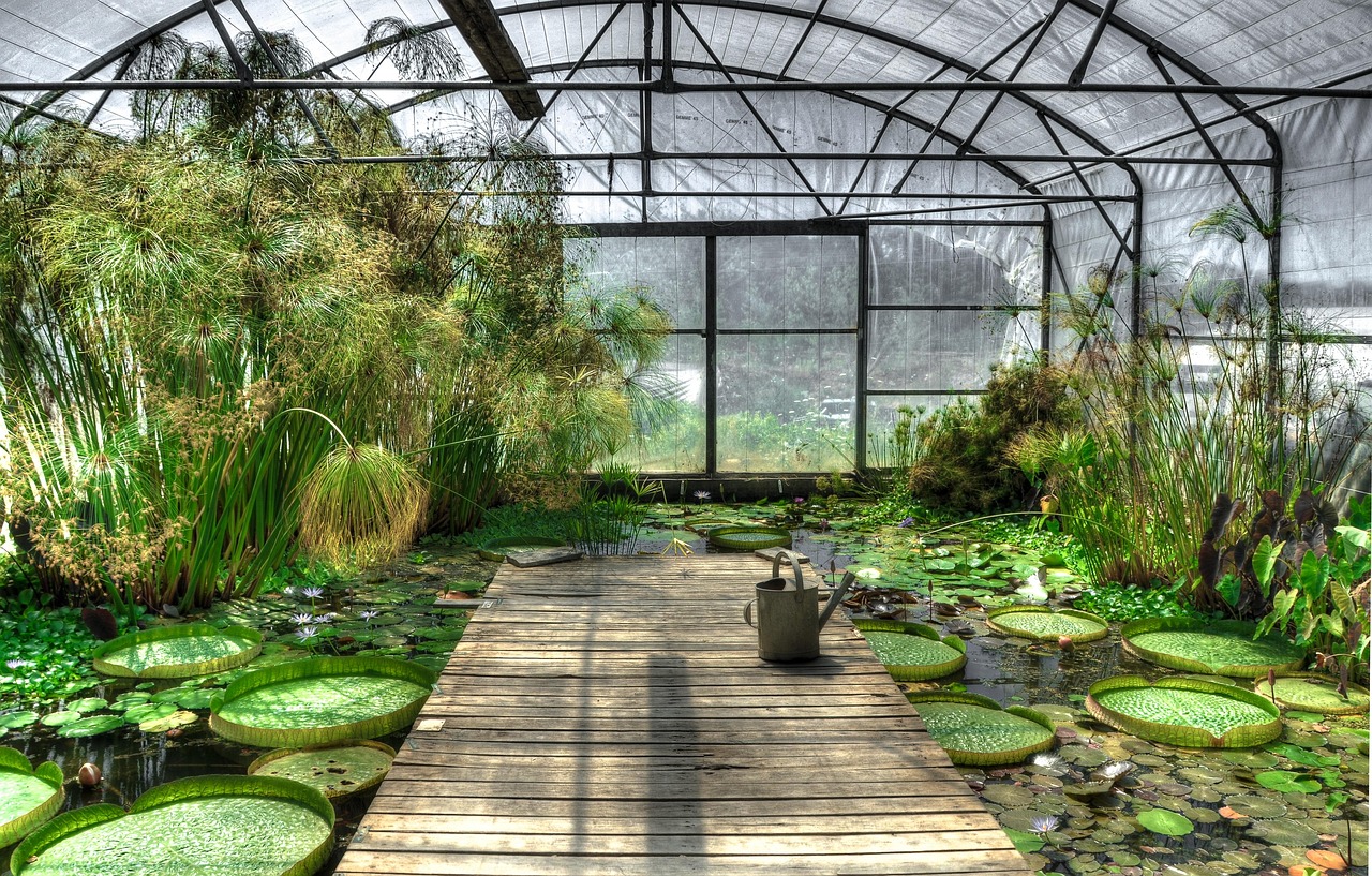 Découvrez la serre exotique cachée au cœur du Domaine du Gazania, un trésor botanique accessible à tous